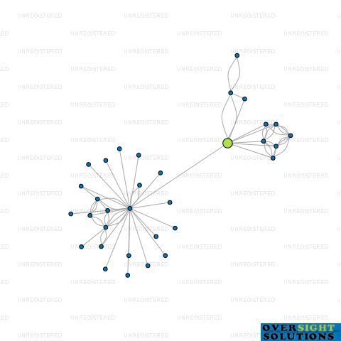 Network diagram for SHALIMAR HOLDINGS LTD