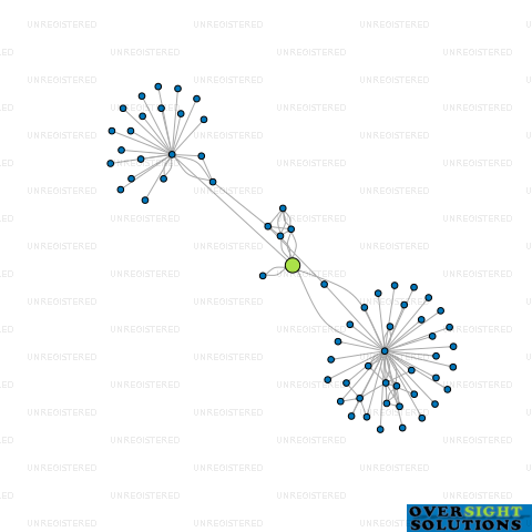 Network diagram for TUI COMPANY LTD