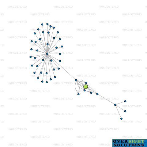 Network diagram for SARINA HOLDINGS LTD