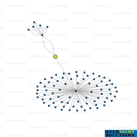 Network diagram for YE  SU LTD