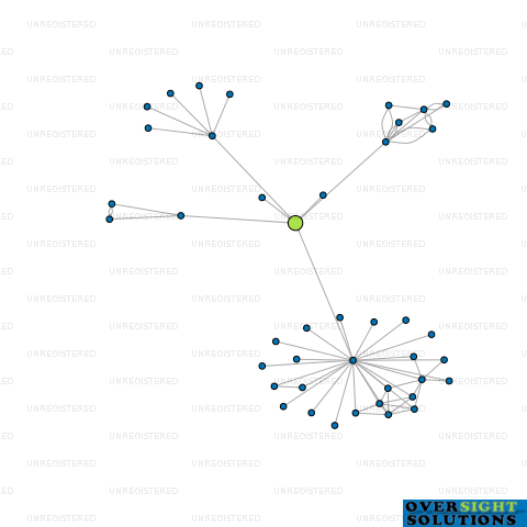 Network diagram for LITTLE LONDON MEDICAL LTD