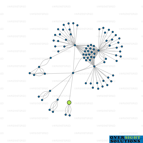 Network diagram for II LTD