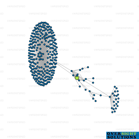 Network diagram for ZSB CAPITAL LTD