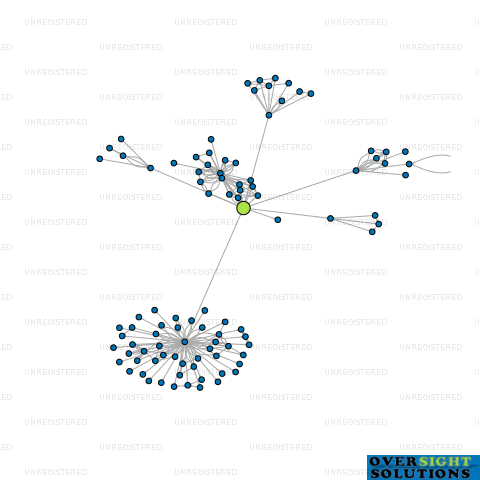 Network diagram for MORGAN HOLDCO LTD