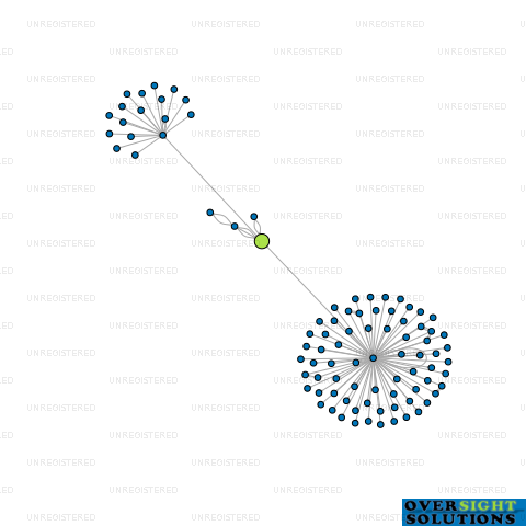 Network diagram for BRIDGE MOTORS KANIERE LTD