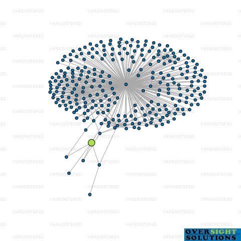 Network diagram for WILTONS CAPITAL TRUSTEE LTD