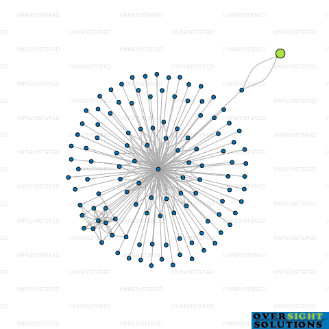 Network diagram for NEW ZEALAND REPUBLIC LTD