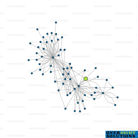 Network diagram for 2 PP LTD