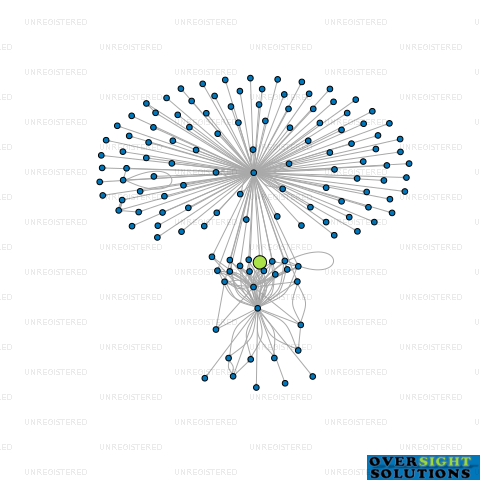 Network diagram for SEVEN WARD STREET LTD