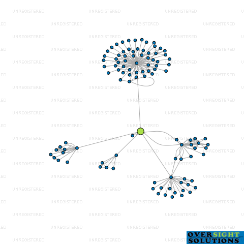 Network diagram for TURIN LTD