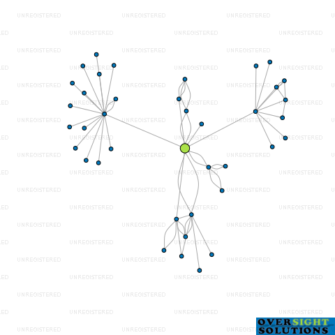 Network diagram for PAPILLON GROUP LTD