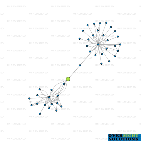 Network diagram for SGF INVESTMENTS LTD