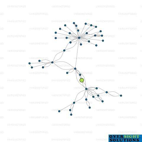 Network diagram for WORKING TRUSTEE COMPANY LTD