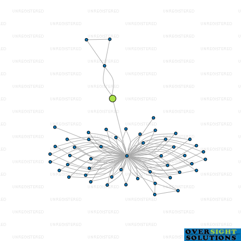 Network diagram for WINIRANA FORESTRY LTD