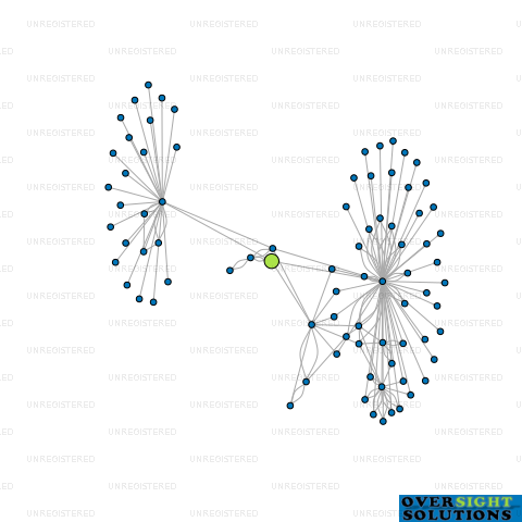 Network diagram for 38 BARRYS POINT ROAD LTD