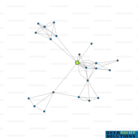 Network diagram for IMMERSIVE HOLDINGS LTD