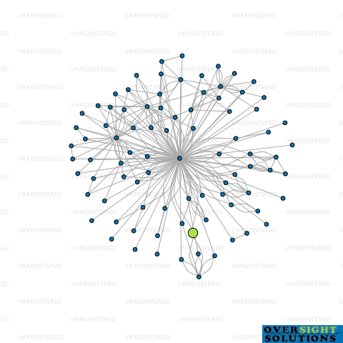 Network diagram for YANKIWI LTD
