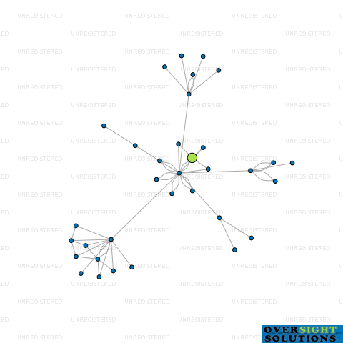 Network diagram for VICTORIA HOLDINGS LTD