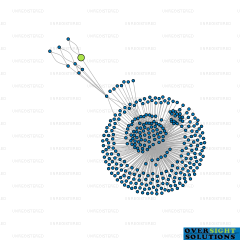 Network diagram for LITTLE WONDER NZ LTD