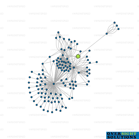 Network diagram for WILSON PARTNERS LIGHT SPEED TRUSTEES LTD