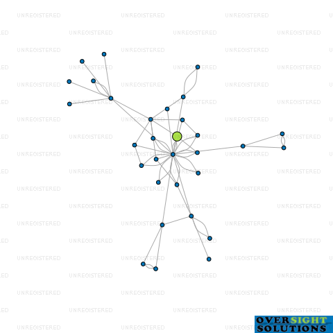 Network diagram for WOODLAND DEVELOPMENTS LTD