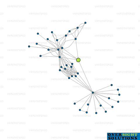 Network diagram for CONSTELLATION CAPITAL LTD