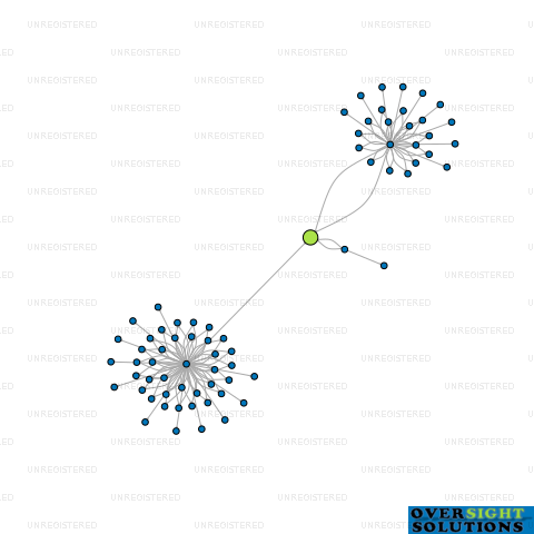 Network diagram for WL CONSTRUCTION LTD