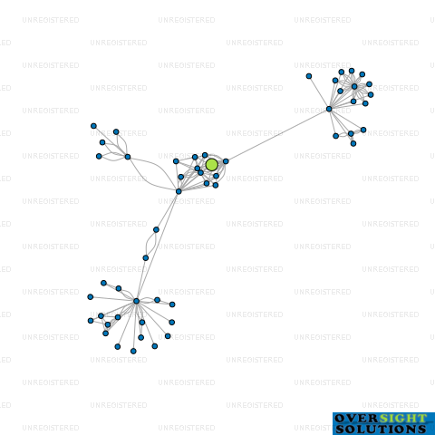 Network diagram for WINEGROWERS OF ARA LTD