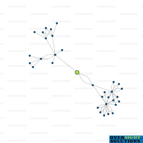 Network diagram for SYNERGOS LTD