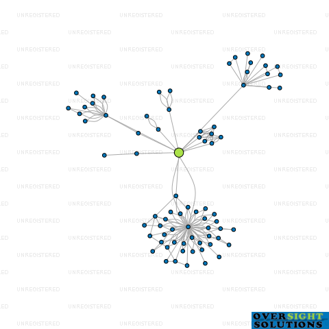 Network diagram for TRUSTEE ADVISORS LTD
