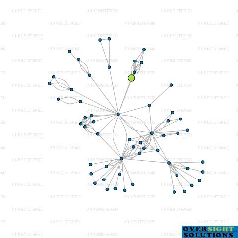 Network diagram for HICKFORD HOLDINGS LTD