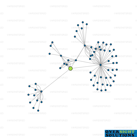 Network diagram for WILSON PROPERTIES TIMARU LTD