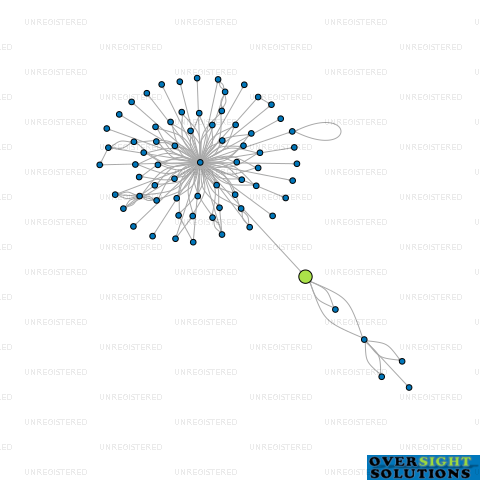 Network diagram for 2CRISK NEW ZEALAND LTD