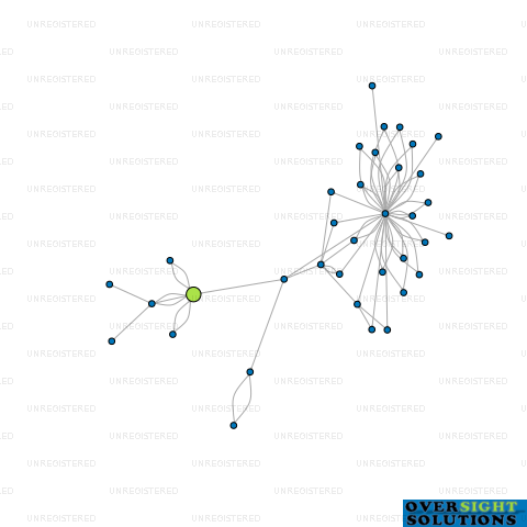 Network diagram for AP HOLDINGS 2013 LTD