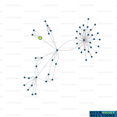 Network diagram for LICO LTD