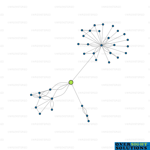 Network diagram for 12 WALLS ROAD LTD