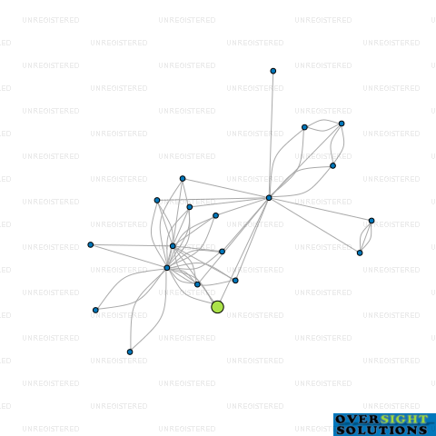 Network diagram for WISE MAN INVESTMENTS LTD