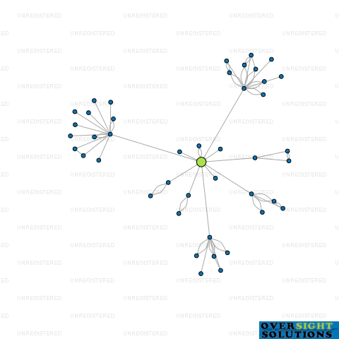 Network diagram for 2021 SOFTBALL LTD