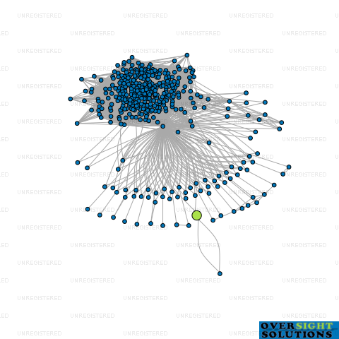Network diagram for S  R NARAYAN LTD