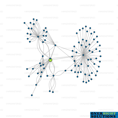 Network diagram for 316 RICHMOND ROAD LTD