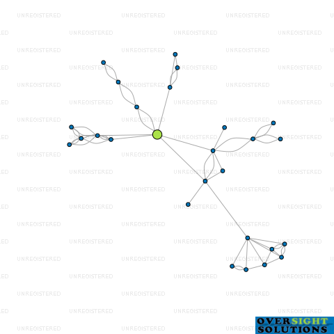 Network diagram for 4924 HOLDINGS LTD