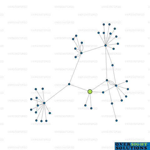 Network diagram for WINEGROWERS OF NEW ZEALAND LTD