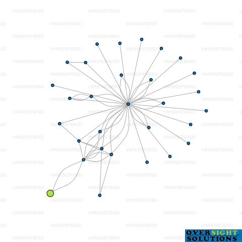 Network diagram for SHADES OF BLUE LTD