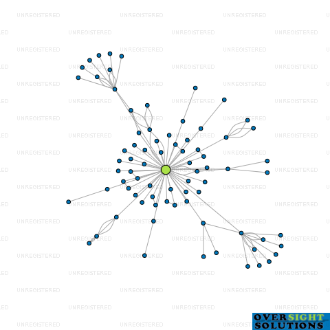 Network diagram for ERGO CONSULTING LTD