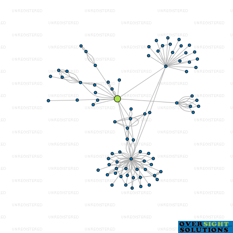 Network diagram for TRIPLE STAR MANAGEMENT LTD