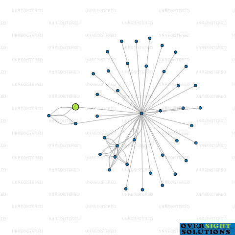 Network diagram for UPPER HOUSE LTD