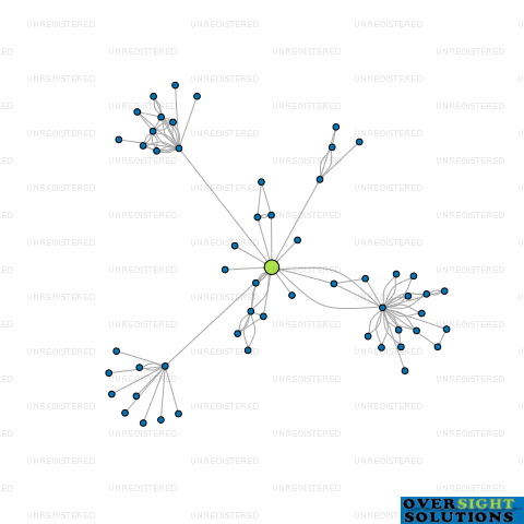 Network diagram for NZ MERCHANTS LTD