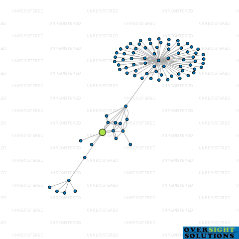 Network diagram for MAHI RAKAU FOREST MANAGEMENT LTD