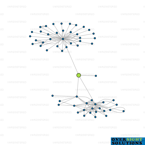 Network diagram for GINGER GROUP FINANCIAL SERVICES LTD