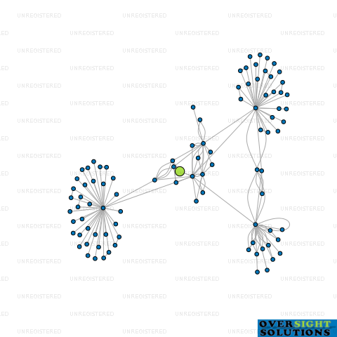 Network diagram for HORTINVEST MANAGEMENT LTD